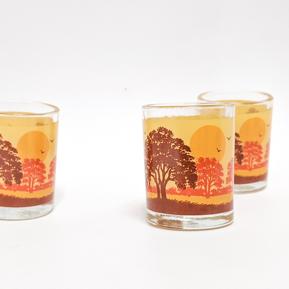 3 Boho Shot Glasses Succulent Planters Minimalist